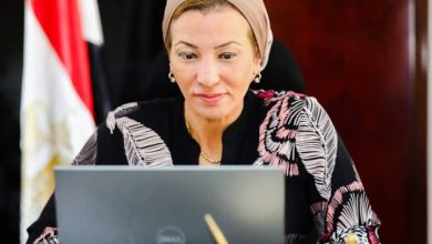 صورة فؤاد : أساس التعافى الأخضر هو دمج المعايير البيئية في الخطط والسياسات الوطنية