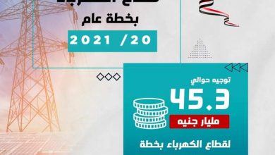 صورة د. هالة السعيد:إجمالي الاستثمارات المُستهدفة لقطاع الكهرباء بخطة عام (20/2021) تُقدّر بنحو 45.3 مليار جنيه