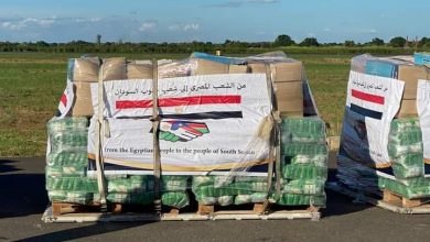 صورة وزير الري والوفد المرافق له يصل جنوب السودان 