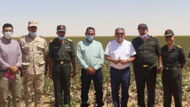 صورة وزير قطاع الأعمال العام يتفقد تجربة زراعة القطن قصير التيلة بشرق العوينات
