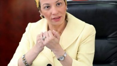 صورة وزيرة البيئة تؤكد دعم مصر لاتفاقية باماكو وضرورة العمل الجماعي الأفريقي لمصلحة الأجيال القادمة