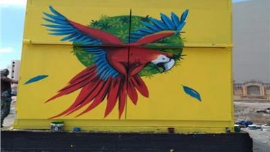 صورة إطلاق مبادرة لتجميل أكشاك الكهرباء بمدينة دمياط الجديدة وتحويلها إلى لوحات فنية جميلة