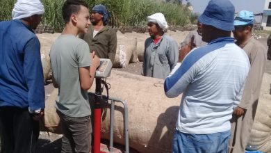 صورة  وزير قطاع الأعمال العام يستعرض تقريرا حول تطبيق منظومة تداول القطن الجديدة في الفيوم وبني سويف