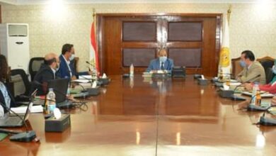 صورة وزير التنمية المحلية : دعم وتطوير التكتلات الاقتصادية على رأس أولويات برنامج التنمية المحلية بصعيد مصر