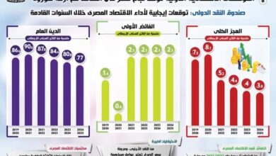 صورة بالرغم من تداعيات الوباء على الاقتصاد العالمي:  المؤسسات الاقتصادية الدولية تؤكد نجاح مصر في التعامل مع أزمة كورونا