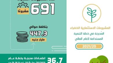 صورة د. هالة السعيد: حوافز تمويلية للوزارات للتحول نحو “الاقتصاد الأخضر”
