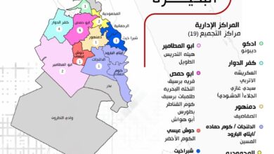 صورة “قطاع الأعمال”: أول مزاد للقطن في البحيرة ضمن منظومة التداول الجديدة