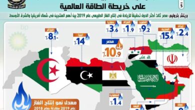 صورة    بالانفوجراف… طفرة إنتاج الغاز الطبيعي تعزز مكانة مصر على خريطة الطاقة العالمية