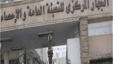 صورة عدد مشتركي التليفون المحمول يرتفع إلى 96 مليون مشترك مايو الماضى