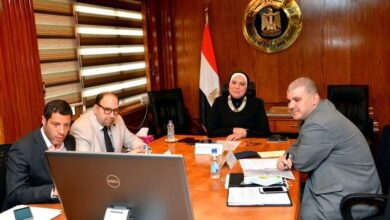 صورة وزيرة التجارة والصناعة تستعرض مع ممثلي البنك الدولي منظومة الإجراءات والاصلاحات الهيكلية فى الاقتصاد المصرى