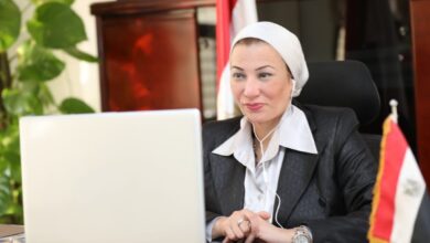 صورة ياسمين فؤاد تؤكد: نسعى إلى الشراكة مع اليونيدو لتحقيق كفاءة الطاقة والحفاظ على التنوع البيولوجي