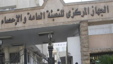صورة ” الجهاز المركزى للإحصاء” : زيادة أعداد الإناث عن الذكور بـ 100 ألف نسمة