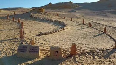 صورة البيئة : إشادة عالمية بموقع وادى الحيتان والقائمين عليه