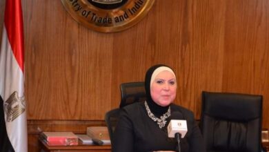 صورة عبر تقنية الفيديو كونفرانس …وزيرة التجارة والصناعة تشارك في فعاليات منتدى الاعمال المصري الزامبى
