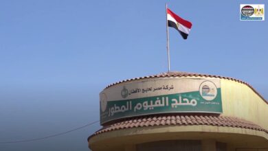 صورة وزارة قطاع الأعمال العام.. “إنجازات وإصلاحات على الطريق”