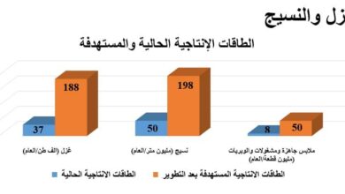 صورة شركات القطن والغزل والنسيج  21 مليار جنيه التكلفة الاستثمارية.. ومضاعفة الإنتاج 4 أمثال
