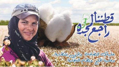 صورة “قطاع الأعمال”: بسعر 3865 جنيها للقنطار.. بيع 983 قنطار قطن في أحدث المزادات بالفيوم