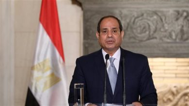 صورة السيسي: عام 2011 كان شهادة وفاة الدولة المصرية
