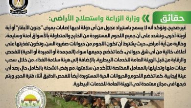 صورة الحكومة تنفى شائعة استيراد لحوم عجول مصابة بمرض “جنون الأبقار” وطرحها بالأسواق