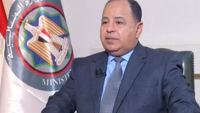 صورة وزير المالية: مزايا تحفيزية للصناعة الوطنية وتعظيم مساهماتها فى الناتج القومى المحلى