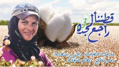 صورة “قطاع الأعمال”: بيع 130 ألف قنطار قطن خلال شهر من تطبيق منظومة التجارة الجديدة
