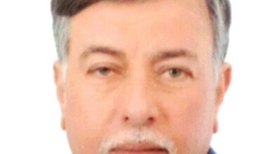 صورة سيد البدوي :  ضخ استثمارات جديدة في صناعة الرخام والجرانيت بعد القرار الرئاسي بتطوير منطقة شق الثعبان