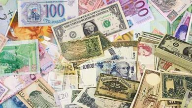 صورة تعرف على أسعار العملات اليوم الثلاثاء 29 نوفمبر 2022