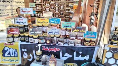 صورة إنطلق صباح مهرجان العسل المصري
