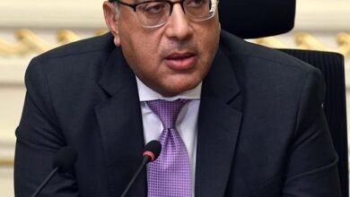 صورة مجلس الوزراء : 4 شركات جديدة تطلب الحصول على “الرخصة الذهبية”