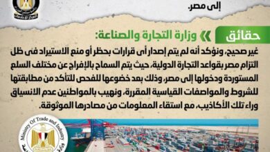 صورة الحكومة تنفى  إصدار قرار بحظر دخول بعض واردات السلع إلى مصر