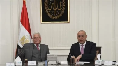 صورة وزير الإسكان: تنفيذ 6508 وحدات إسكان و48 مشروعًا بتكلفة 7 مليارات جنيه بجنوب سيناء