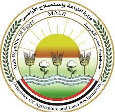 صورة وزارة الزراعة تطمئن على القمح والمحاصيل الشتوية وبرامج إنتاج التقاوي فى محافظتي الغربية وكفر الشيخ