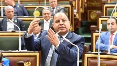 صورة وزير المالية:  ٥ أيام فقط وتنتهى مبادرة «تيسير استيراد سيارات المصريين بالخارج»