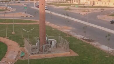 صورة رئيس جهاز الشروق :الإنتهاء من زراعة وتجميل أكبر الحدائق بالمنطقه الثامنه عمارات بالمدينه بمساحة 6000متر مسطح