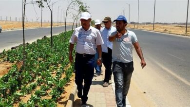 صورة الإسكان: استكمال تطوير طرق ومداخل مدينة بدر ضمن خطة شاملة