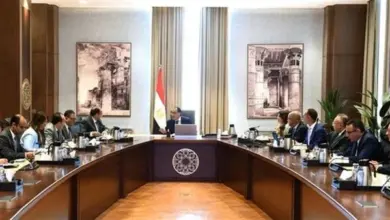 صورة مدبولى يناقش  مقترحات دعم الصناعة الوطنية وزيادة الإنتاج مع أعضاء غرفة الصناعات الغذائية