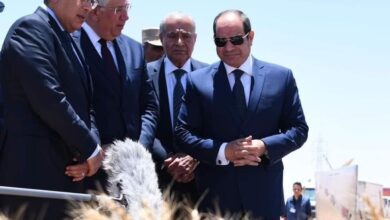 صورة وزير الزراعة يؤكد أن الدولة تقدر المهمة الوطنية التي يقوم بها الفلاح المصري في تحقيق الأمن الغذائي
