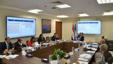 صورة وزير المالية: نستعد لإطلاق التأمين الصحي الشامل رسميًا بجنوب سيناء وأسوان والسويس