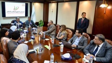صورة وزير المالية : 1.3 مليار دولار محفظة استثمارات البنك الآسيوي للاستثمار في البنية التحتية بمصر