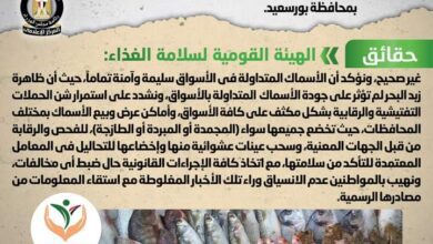 صورة الحكومة تنفى شائعة تداول أسماك نافقة بالأسواق إثر حدوث ظاهرة زبد البحر بمحافظة بورسعيد