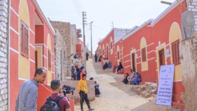 صورة للعام الثاني على التوالي: كايرو فستيفال سيتي مول يتعاون مع دار الأورمان لدعم الأسر في أسوان ضمن مبادرة “ستر ودفا”