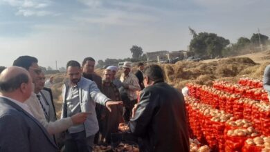 صورة وزير الزراعة يوجه بحملات تفتيشية على مفارش البصل لدى التجار في جميع محافظات الجمهورية