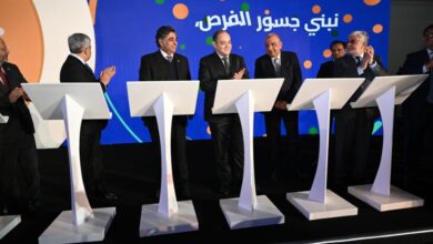 صورة الوكيل يدعو وفدا باكستانيا للاستثمار في مصر