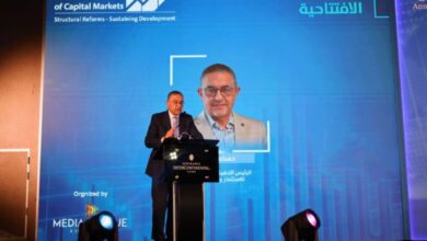 صورة هيبة: التغيرات الاقتصادية فرضت ضرورة البحث عن استراتيجيات جديدة لجذب الاستثمارات الأجنبية