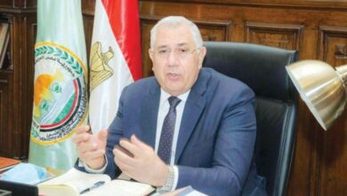 صورة القصير : 1.5 مليار دولار صادرات مصر الزراعية خلال الربع الأول من 2024