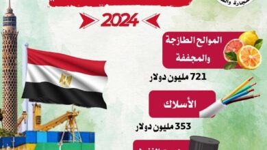صورة قفزة تاريخية لصادرات مصر السلعية خلال أول 5 أشهر من 2024 | انفوجراف