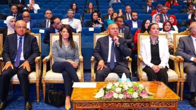 صورة المشاط: 3 مليارات دولار تمويلات ميسرة من الشركاء الدوليين لتنفيذ 32 مشروعًا للصناعة