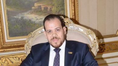 صورة المصريين الأفارقة : تشيد ببرنامج الحكومة .. وتطالب بضروة بزيادة الناتج المحلي بقطاع الصناعة