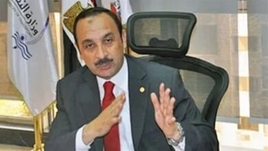 صورة محمد شيمي وزيرا لقطاع الأعمال العام خلفا لـ “عصمت”