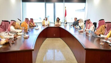 صورة د. المشاط  : نتطلع لزيادة الاستثمارات السعودية في مصر
